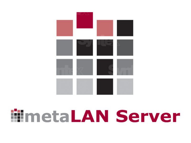 MetaLAN Server