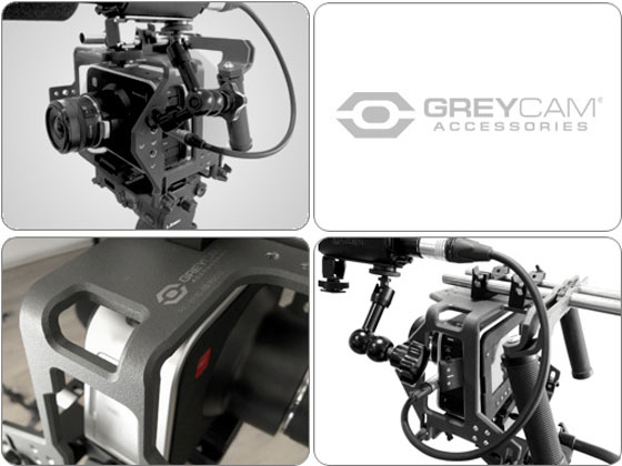 GreyCAM BMD Series 1