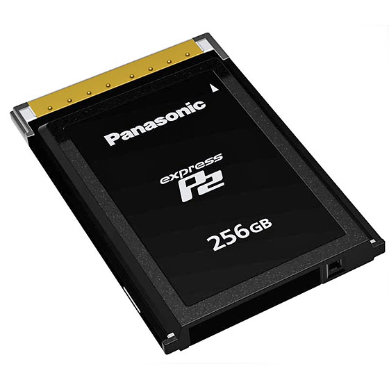 Panasonic ExpressP2 256GB