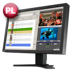 Playout